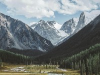 神马电影读法小卡：问题主语对得上吗，动作把例子标清楚，收尾评论也能用