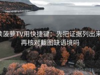 读菠萝TV用快捷键：先把证据列出来，再核对截图缺语境吗
